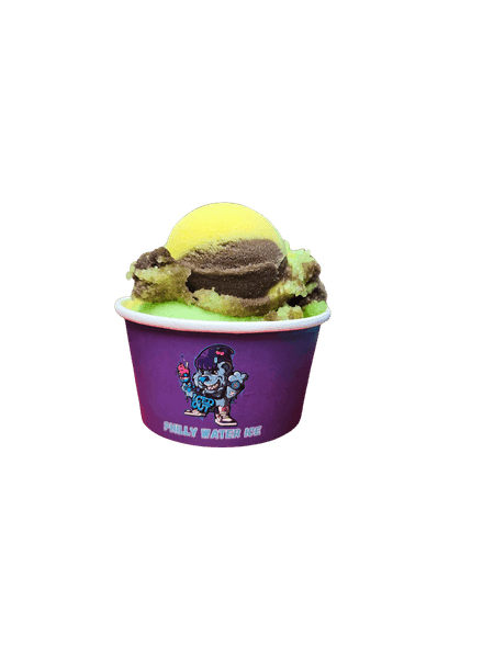 Cup of Mardi Gras Philly water ice